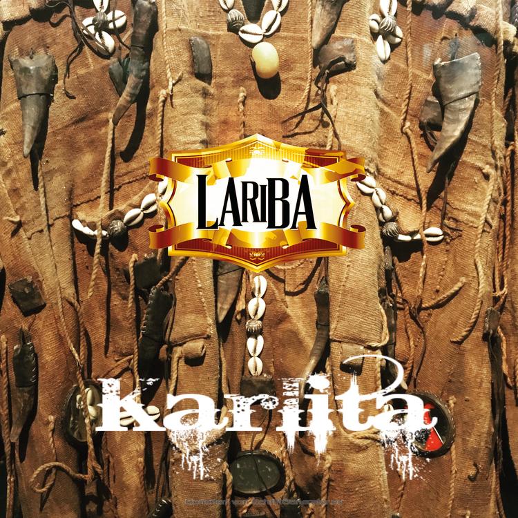 Lariba's avatar image