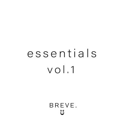 Sonata No. 14 in C-Sharp Minor for Piano, Op. 27, No. 2 Moonlight II. Allegretto By BREVE, Ludwig Van Beethoven's cover