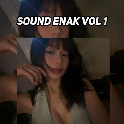 Sound Enak, Vol. 1's cover