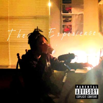 The Experience's cover