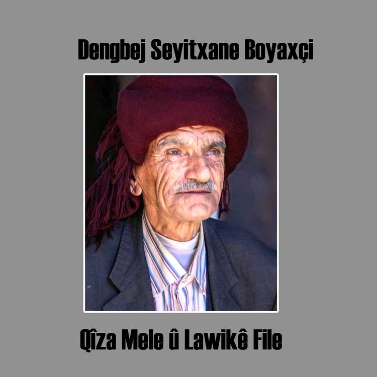 Dengbej Seyitxane Boyaxçi's avatar image