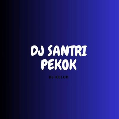 DJ SANTRI PEKOK's cover