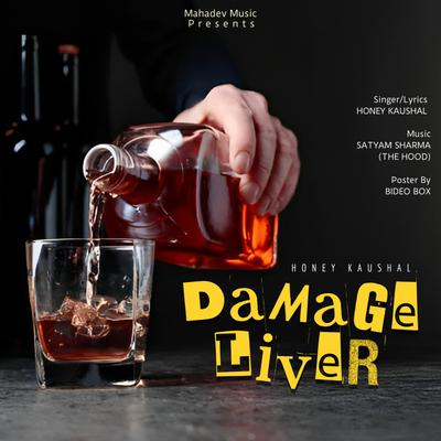 DAMAGE LIVER's cover