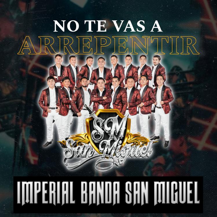 Imperial Banda San Miguel's avatar image