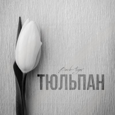 Тюльпан's cover