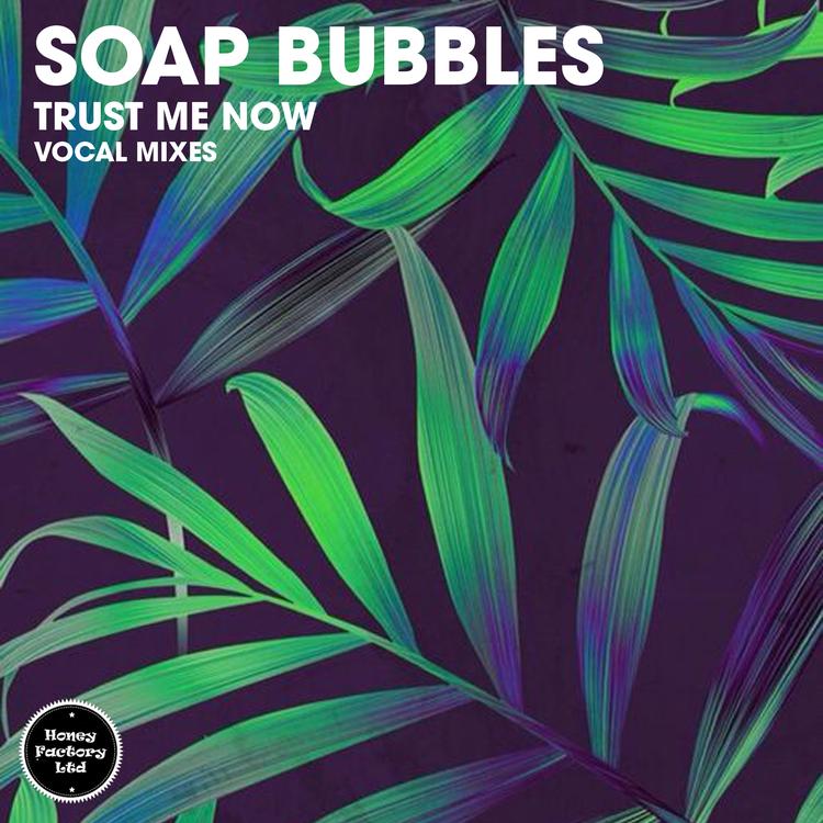 Soap Bubbles's avatar image
