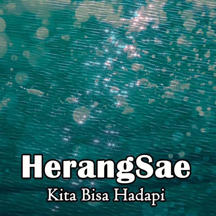 HerangSae's avatar image