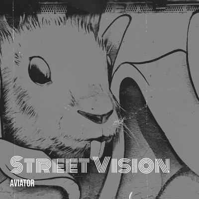 Street Vision's cover