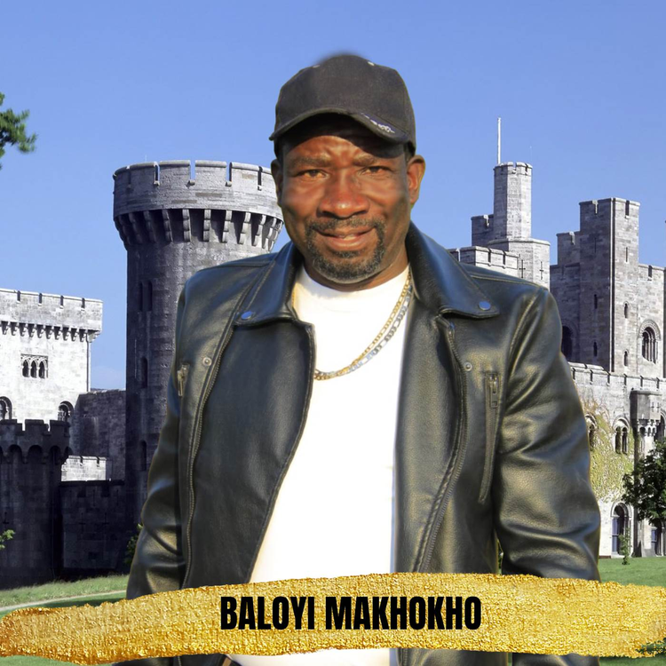 Baloyi Makhokho's avatar image