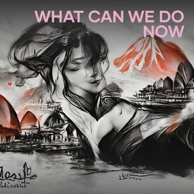 What Can We do Now's cover