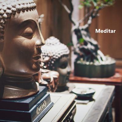 Meditar's cover