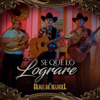 Se Que Lo Lograré (En Vivo)'s cover