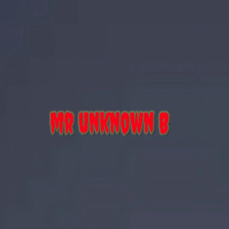 Mr unknown B's avatar image