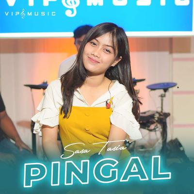 Pingal's cover