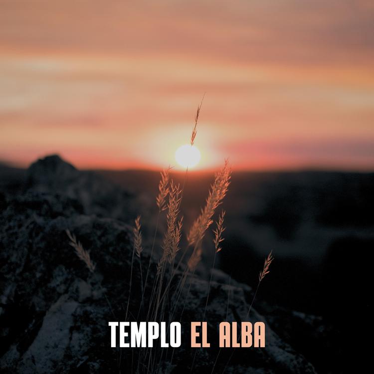 Templo's avatar image