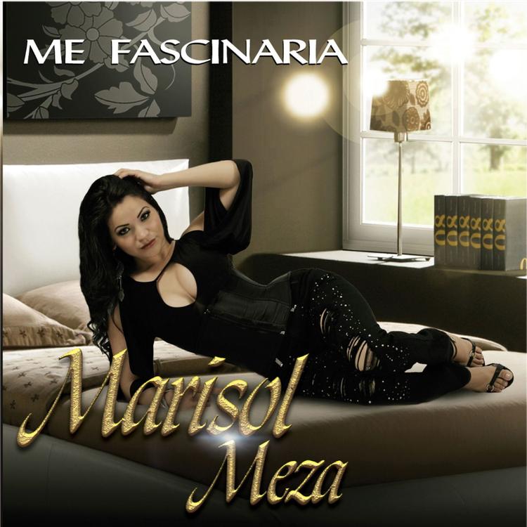 Marisol Meza's avatar image