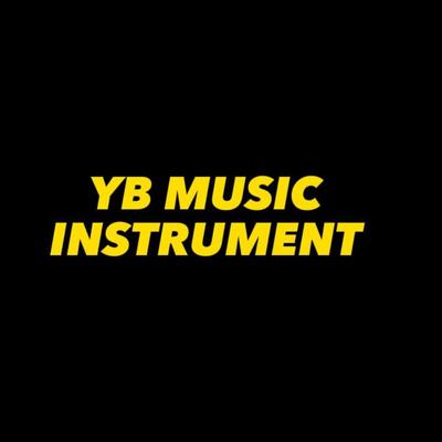 YB MUSIC INSTRUMENT's cover