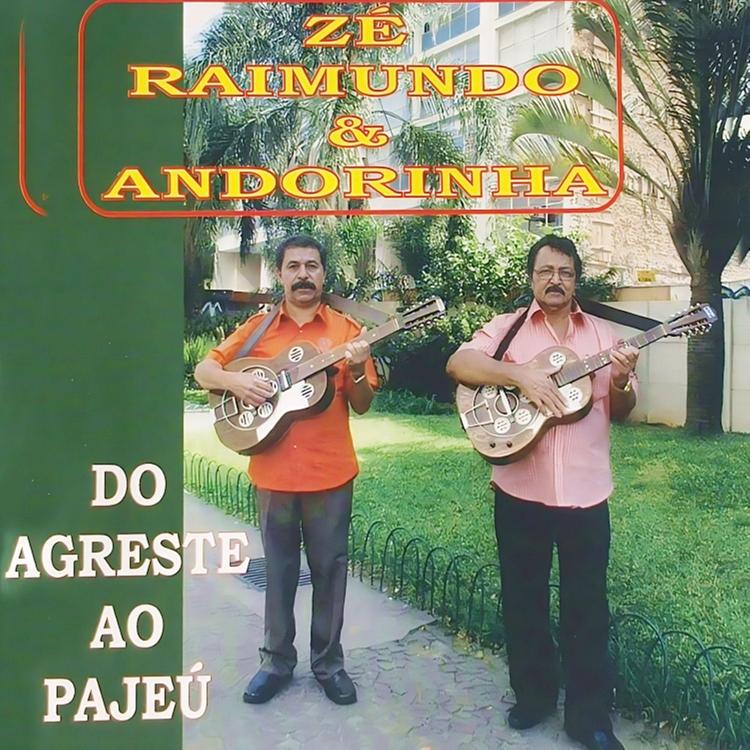 Andorinha & Zé Raimundo's avatar image