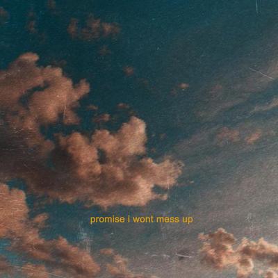 promise I won't mess up By Sølace's cover