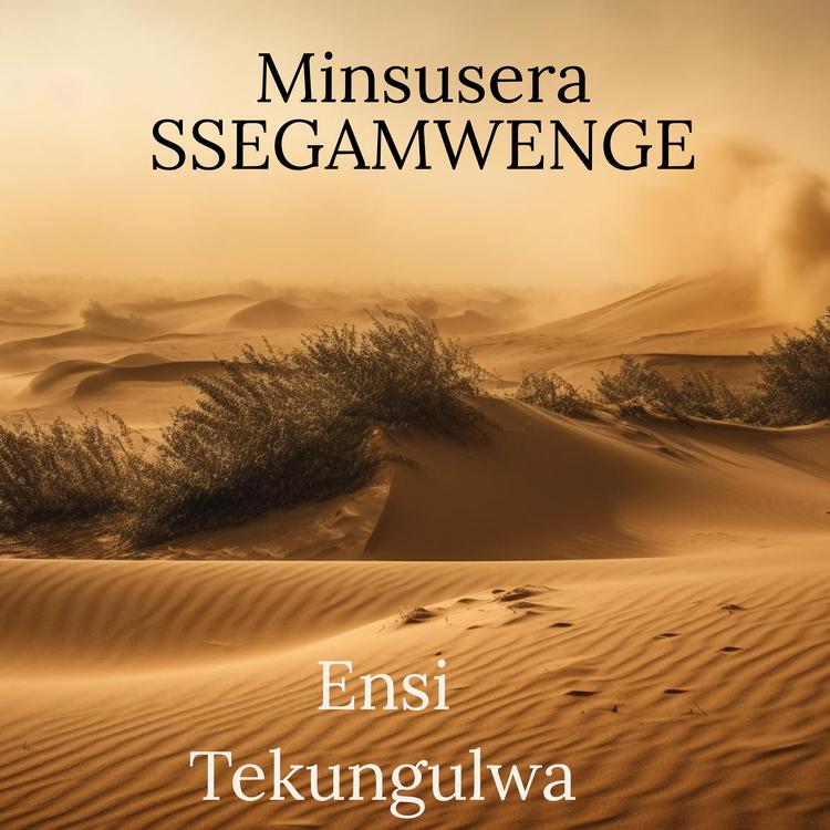 MINSUSERA SSEGAMWENGE's avatar image