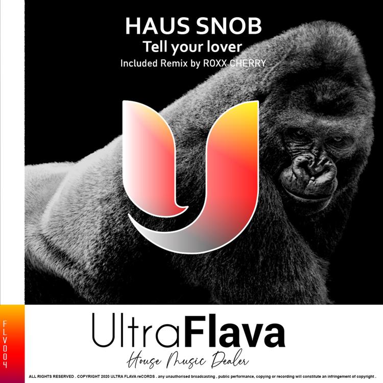 HAUS SNOB's avatar image