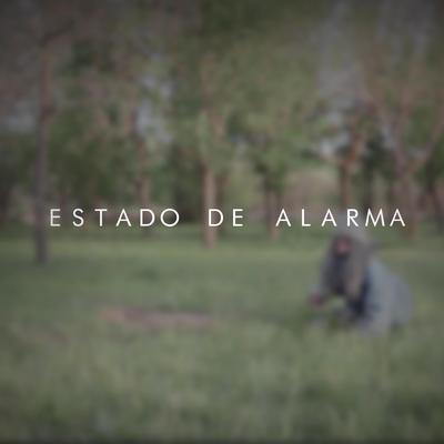 Estado de alarma's cover