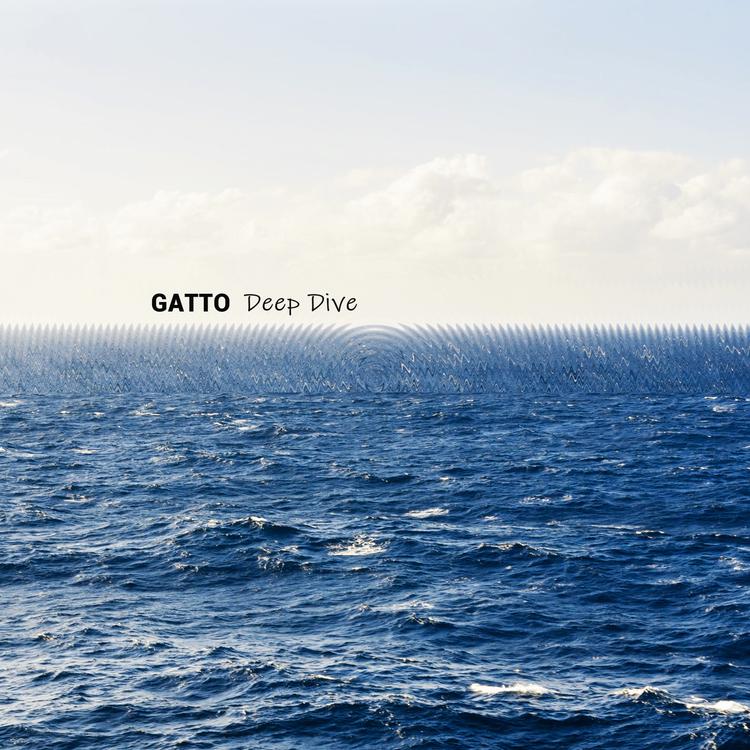 Gatto's avatar image