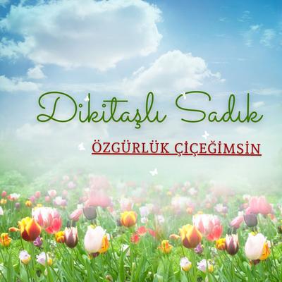 Özgürlük Çiçeğimsin's cover