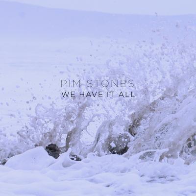 We Have It All By Pim Stones's cover