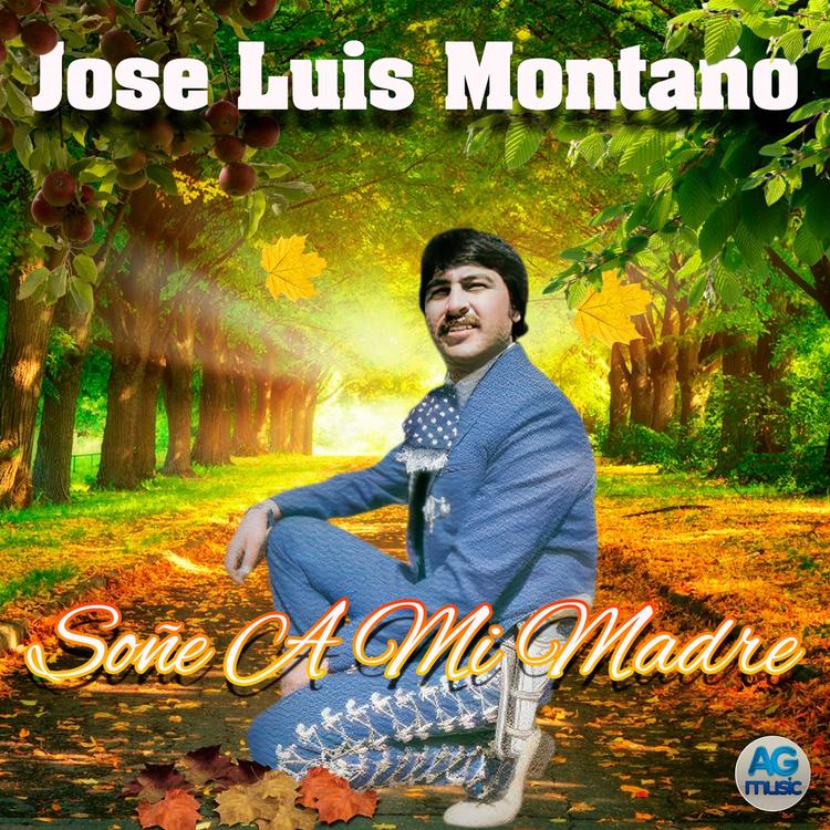 Jose Luis Montaño's avatar image