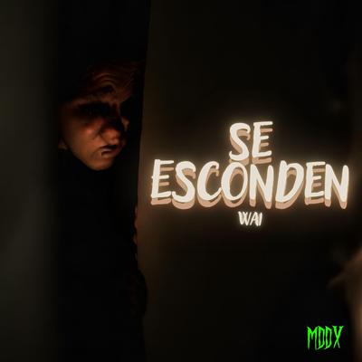 Se esconden's cover