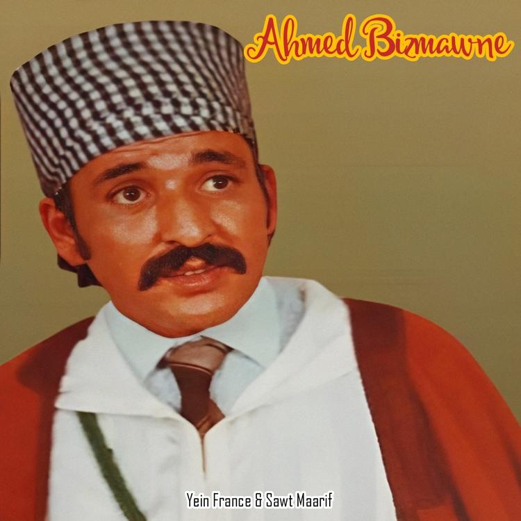 Ahmed Bizmawne's avatar image