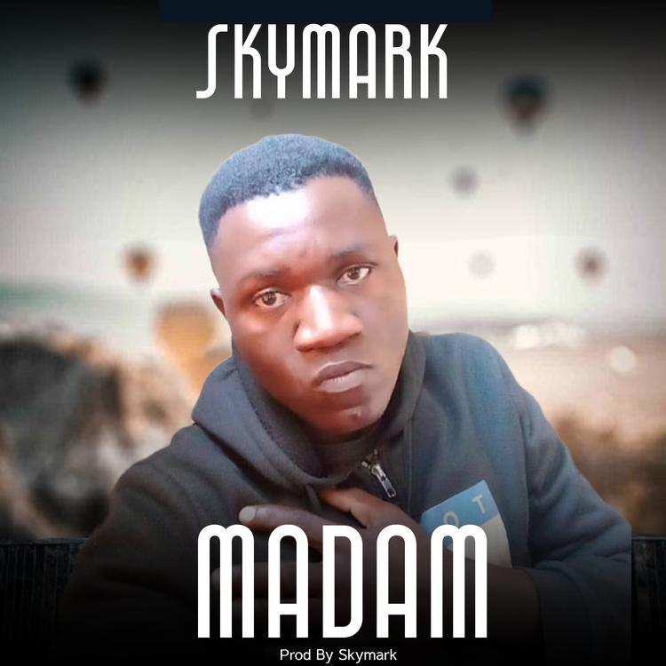 Skymark's avatar image