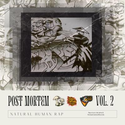 Post Mortem, Vol. 2's cover