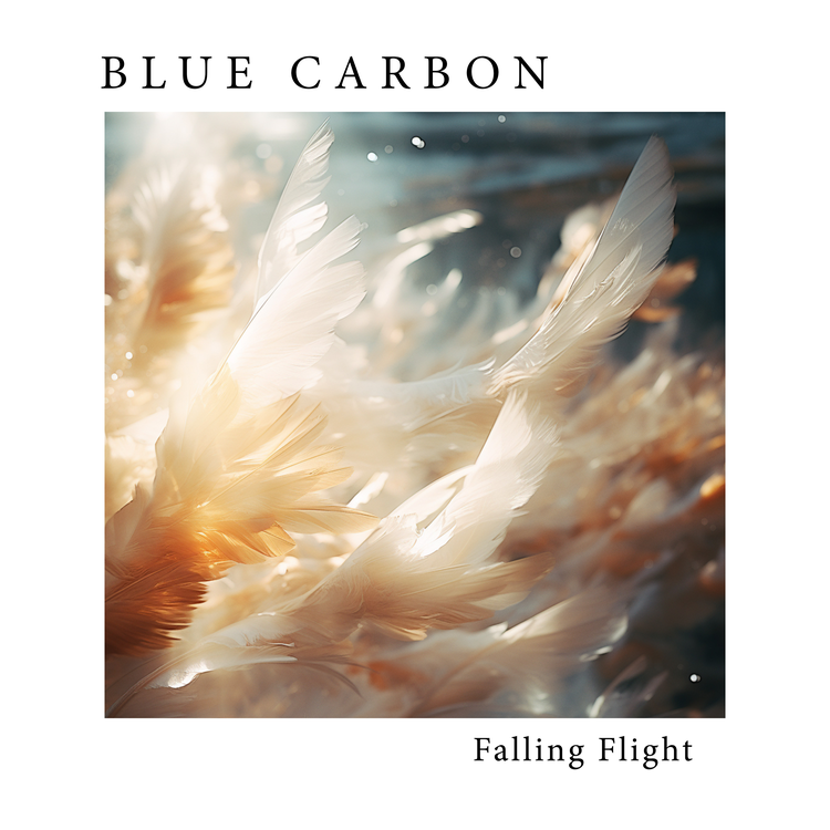 Blue Carbon's avatar image