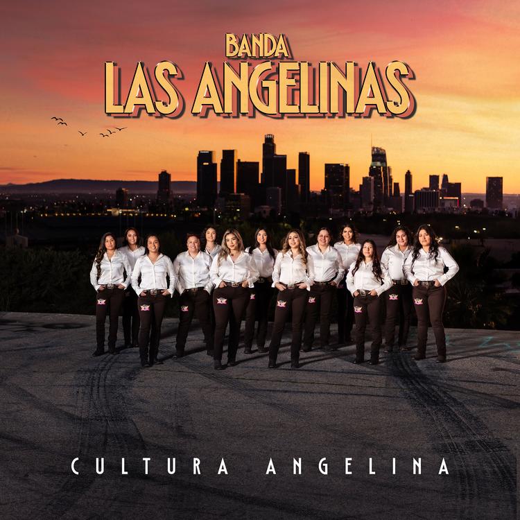 Banda las Angelinas's avatar image