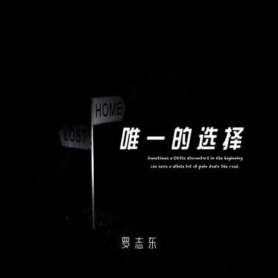 唯一的选择's cover