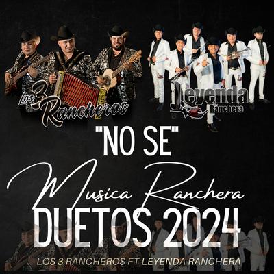 Duetos 2024's cover