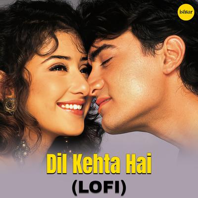 Dil Kehta Hai - LO-FI's cover