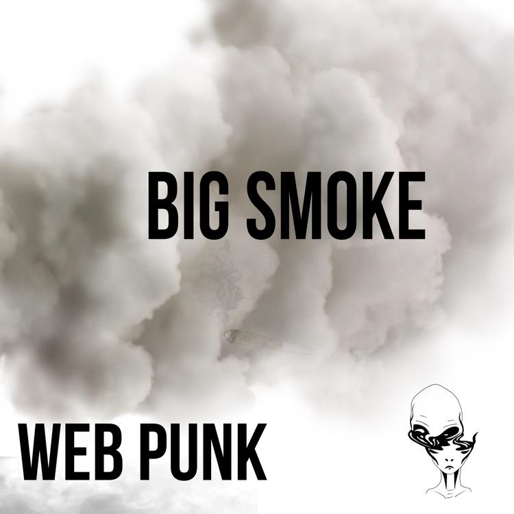 Web Punk's avatar image