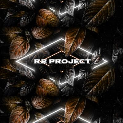 RZ Project's cover