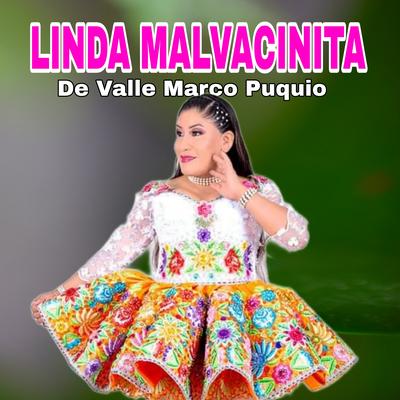 Linda Malvacinita de Valle Marco Puquio's cover