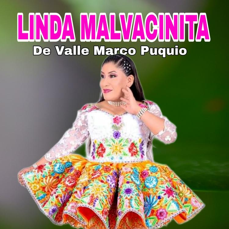 Linda Malvacinita de Valle Marco Puquio's avatar image