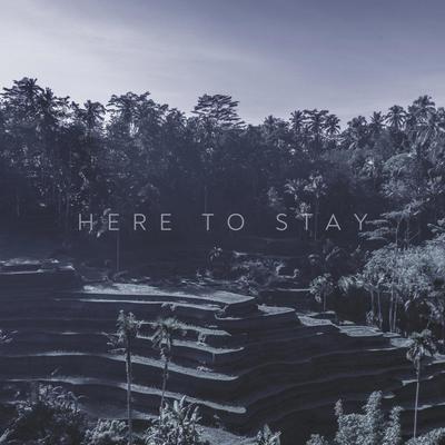 Here To Stay's cover