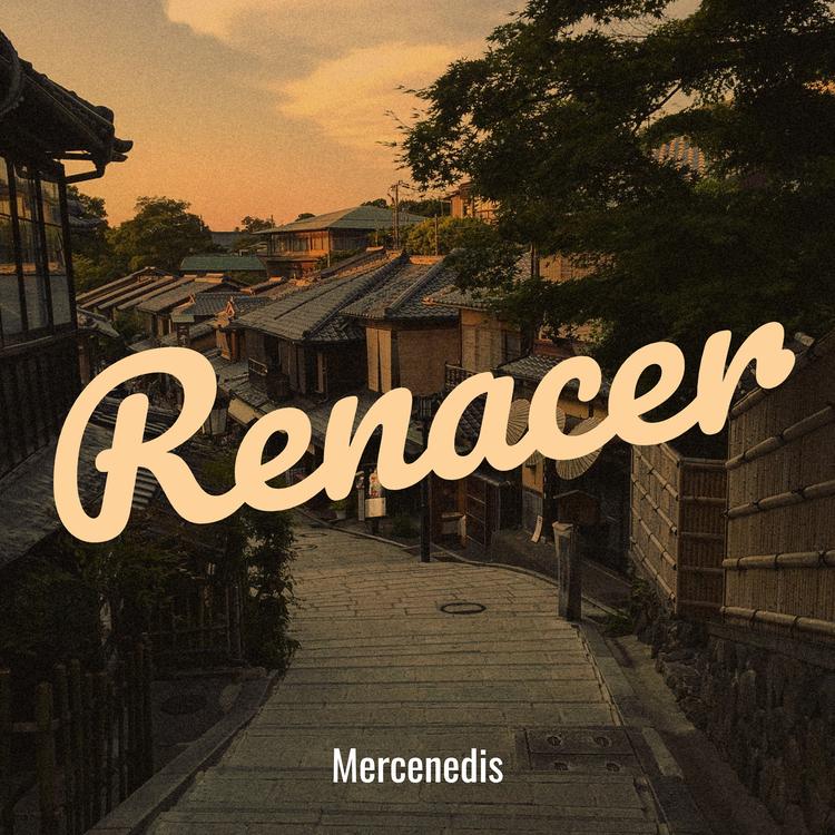 Mercenedis's avatar image
