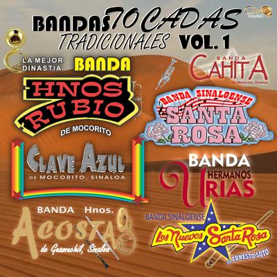 Bandas Tocadas Tradicionales Vol. 1 (feat. Banda Cahita,Banda Santa Rosa,Banda Hermanos Urias,Los Nuevos Santa Rosa)'s cover