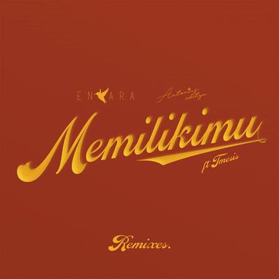 Memilikimu (Avissena Remix) [feat. Tmesis]'s cover