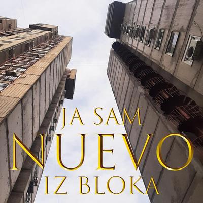 Panorama By NUEVO's cover