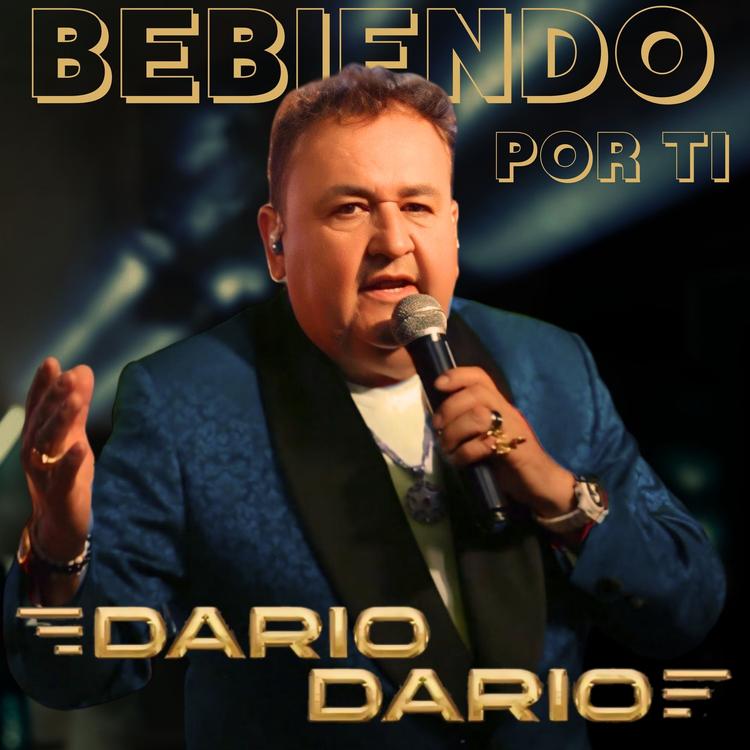 Dario Dario's avatar image