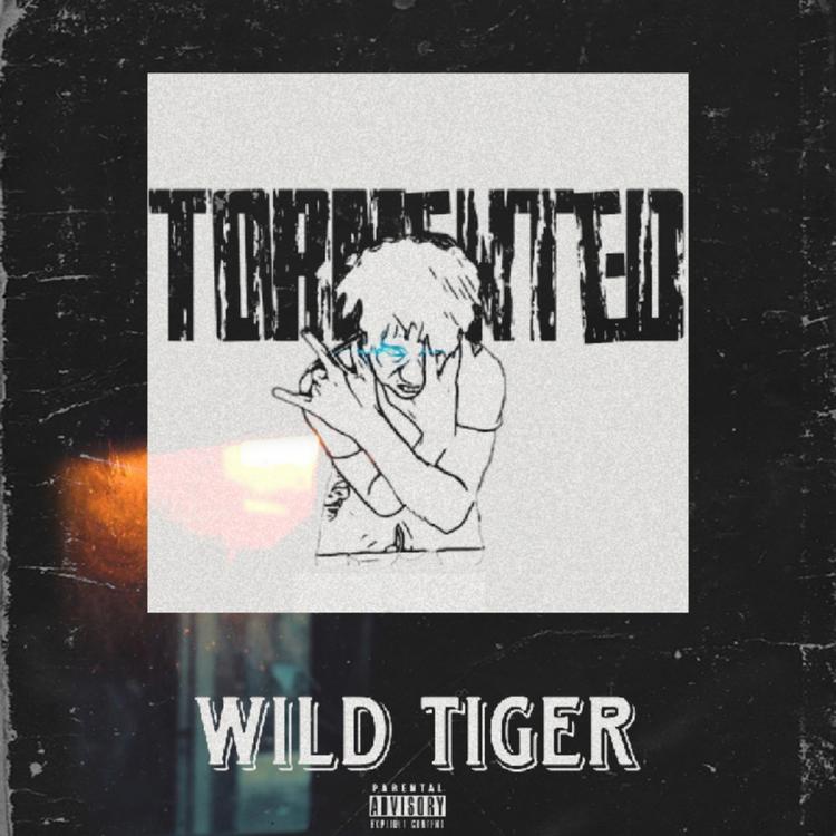 Wild Tiger's avatar image